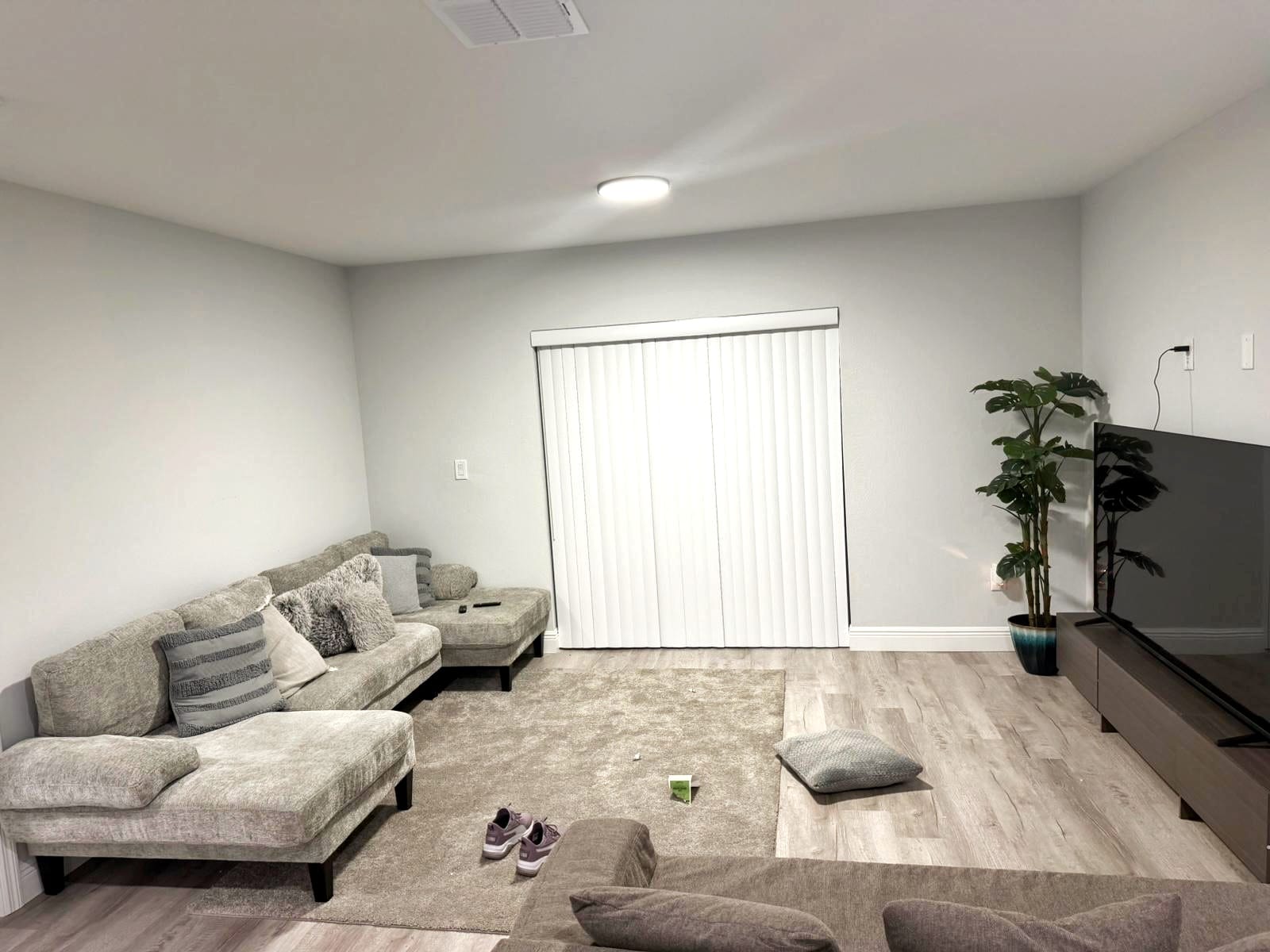 Living Room before cleaning by AVN